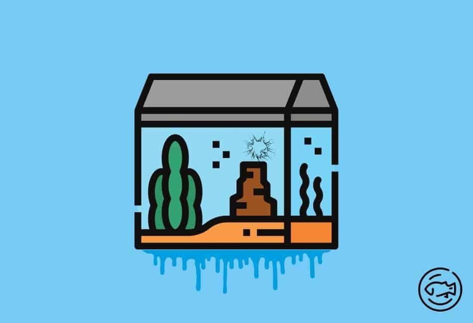 How to Fix A Leaking Aquarium Without Draining