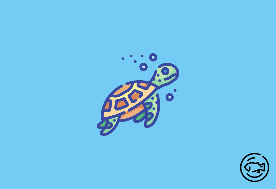 How-To-Prevent-Turtles-Soft-Shell