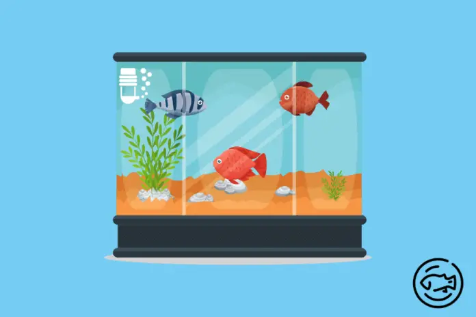 55-Gallon-Fish-Tank-Filter