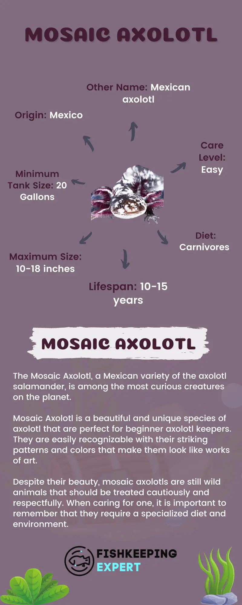 Mosaic-Axolotl