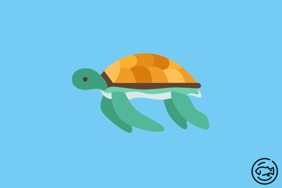 Turtle-Poop