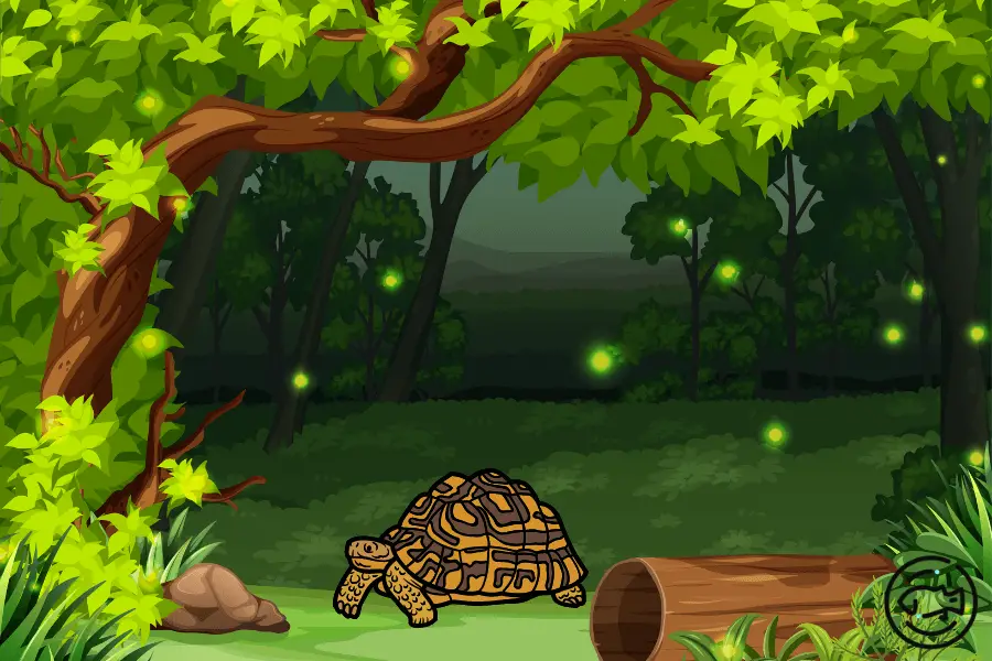 How-Do-Turtles-Climb-Trees