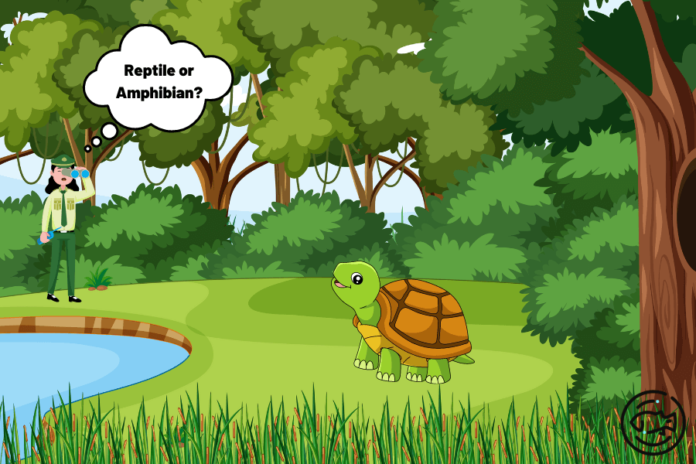 Are-Turtles-Reptiles-or-Amphibians