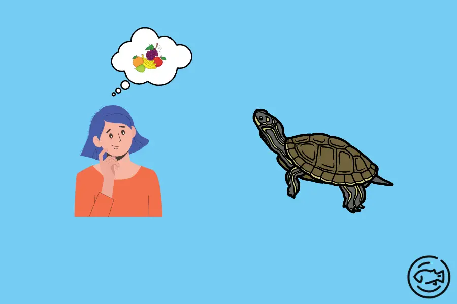 Do-Painted-Turtles-Eat-Fruit