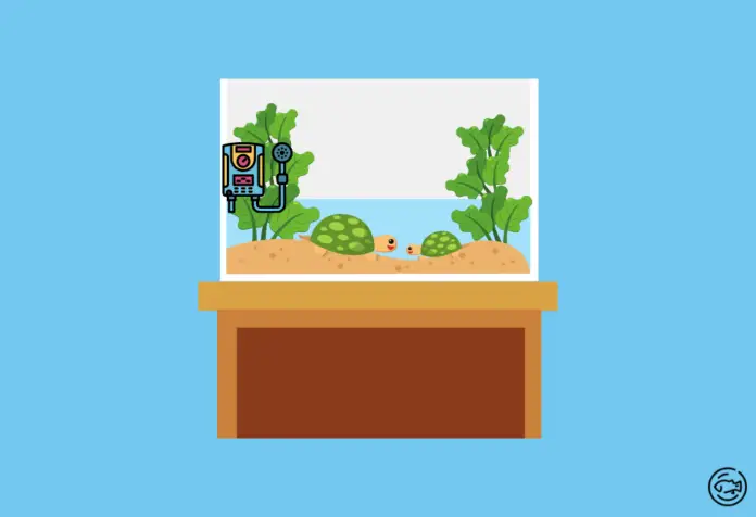 Turtle-Tank-Heater