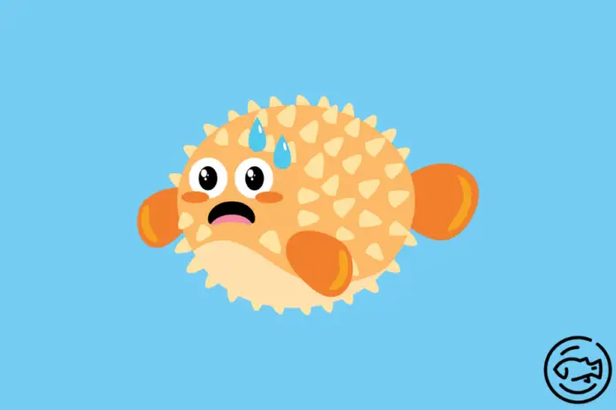 Are-Puffer-Fish-Poisonous-To-Touch