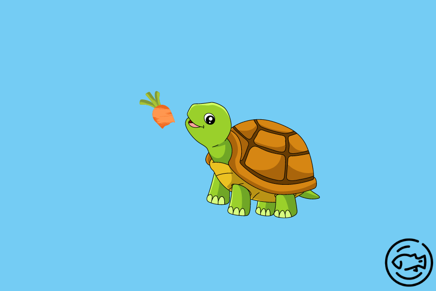 Can-Turtles-Eat-Carrots