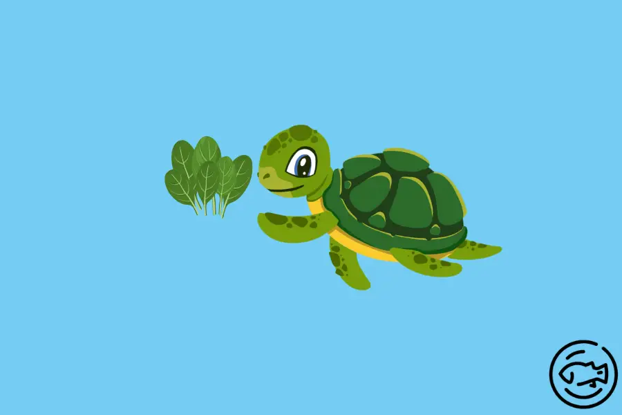 Can-Turtles-Eat-Spinach