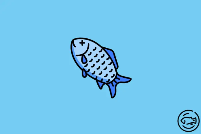 Do-Fish-Blink