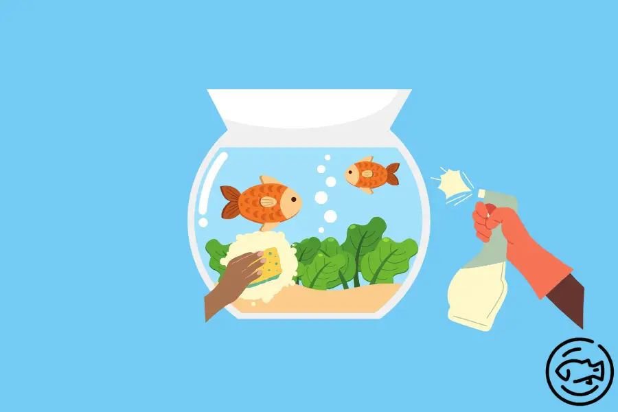 How-To-Clean-A-Fish-Bowl